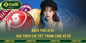 bạch thủ lô gì