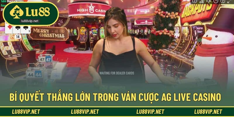 Bí quyết chơi casino hiệu quả trong sảnh AG Live