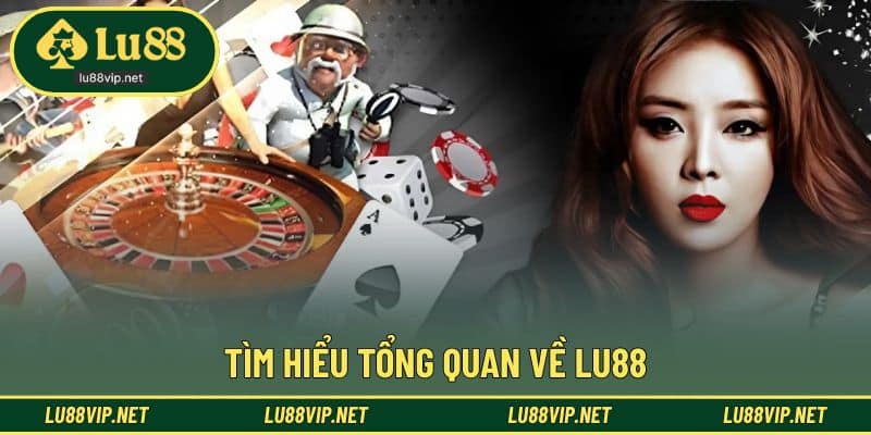 Khái quát thông tin nền tảng và định hướng phát triển