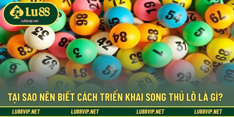 Giải đáp thắc mắc tại sao cần biết song thủ lô
