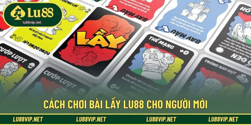 Tổng hợp luật cơ bản dễ hiểu cho người mới