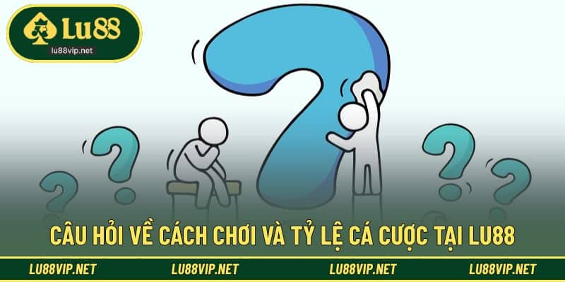 Tổng hợp thắc mắc về trải nghiệm sử dụng