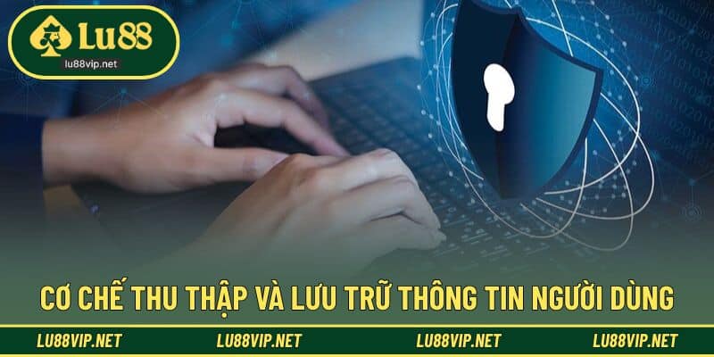 Tổng quan quy trình ghi nhận và lưu trữ dữ liệu người dùng